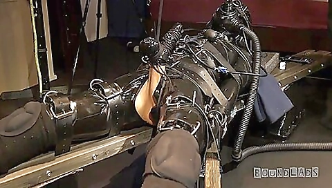 Bitch with perfect ass takes two cunnies and makes love