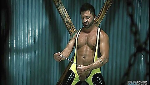 Busty tattooed hottie with big cock gets her mouth stuffed